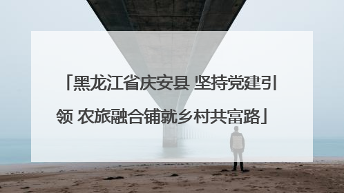 黑龙江省庆安县 坚持党建引领 农旅融合铺就乡村共富路