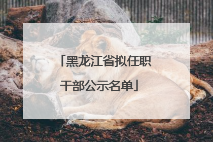 黑龙江省拟任职干部公示名单