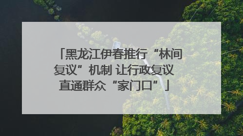 黑龙江伊春推行“林间复议”机制 让行政复议直通群众“家门口”