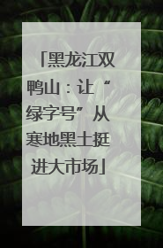 黑龙江双鸭山：让“绿字号”从寒地黑土挺进大市场