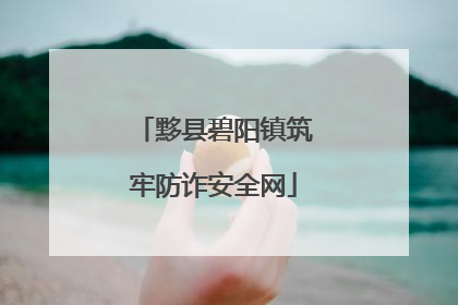 黟县碧阳镇筑牢防诈安全网