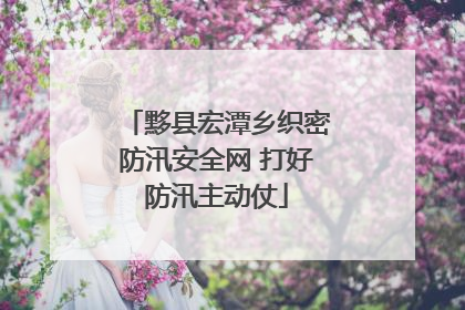 黟县宏潭乡织密防汛安全网 打好防汛主动仗