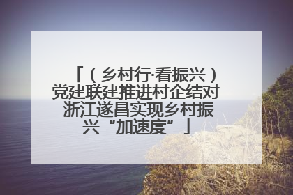 （乡村行·看振兴）党建联建推进村企结对 浙江遂昌实现乡村振兴“加速度”