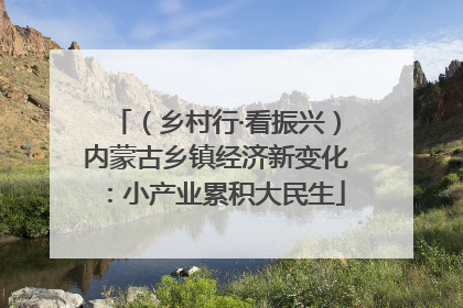（乡村行·看振兴）内蒙古乡镇经济新变化：小产业累积大民生