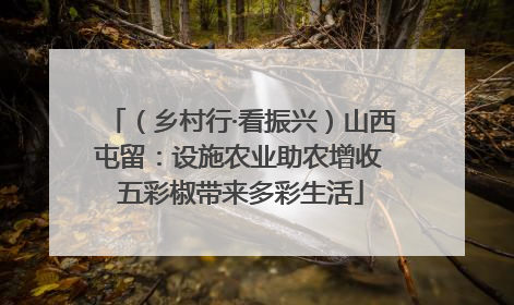 （乡村行·看振兴）山西屯留：设施农业助农增收 五彩椒带来多彩生活