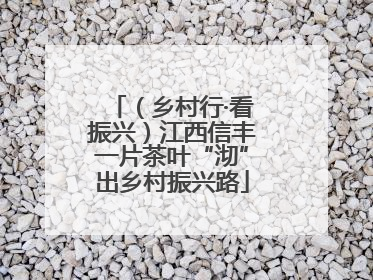 （乡村行·看振兴）江西信丰一片茶叶“沏”出乡村振兴路