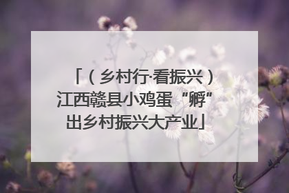 （乡村行·看振兴）江西赣县小鸡蛋“孵”出乡村振兴大产业