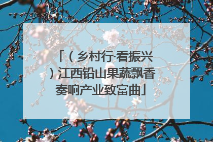 （乡村行·看振兴）江西铅山果蔬飘香 奏响产业致富曲