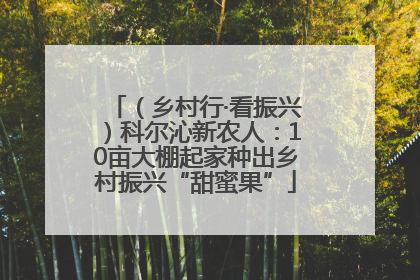 （乡村行·看振兴）科尔沁新农人：10亩大棚起家种出乡村振兴“甜蜜果”