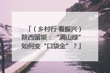 （乡村行·看振兴）陕西留坝：“满山绿”如何变“口袋金”？