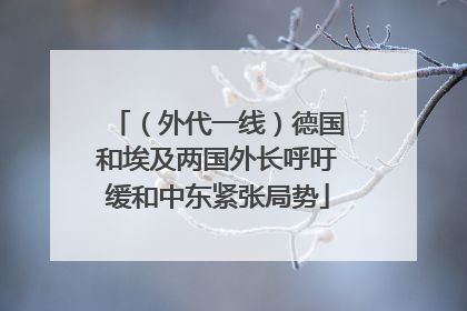 （外代一线）德国和埃及两国外长呼吁缓和中东紧张局势