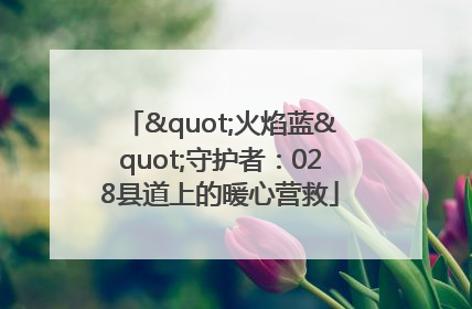 "火焰蓝"守护者：028县道上的暖心营救