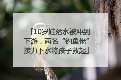 10岁娃落水被冲到下游，两名“钓鱼佬”接力下水将孩子救起