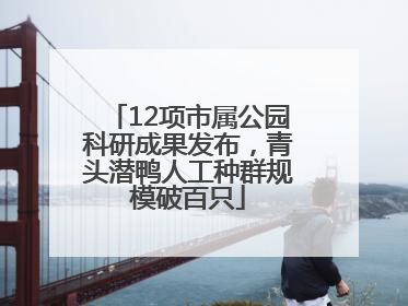 12项市属公园科研成果发布，青头潜鸭人工种群规模破百只