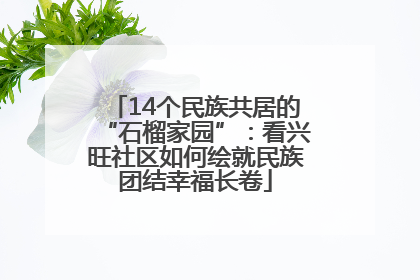 14个民族共居的“石榴家园”：看兴旺社区如何绘就民族团结幸福长卷
