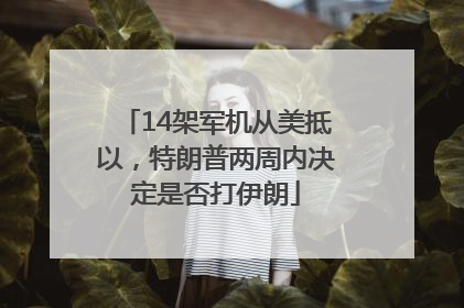 14架军机从美抵以，特朗普两周内决定是否打伊朗