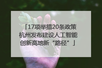 17项举措20条政策 杭州发布建设人工智能创新高地新“路径”