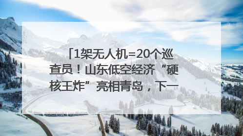 1架无人机=20个巡查员！山东低空经济“硬核王炸”亮相青岛，下一个万亿赛道藏在这里