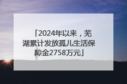 2024年以来，芜湖累计发放孤儿生活保障金2758万元
