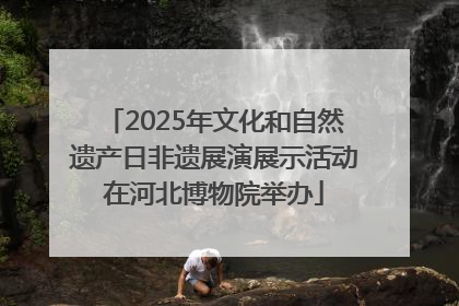 2025年文化和自然遗产日非遗展演展示活动在河北博物院举办
