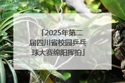 2025年第二届四川省校园乒乓球大赛绵阳挥拍