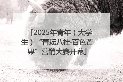 2025年青年（大学生）“青耘八桂·百色芒果”营销大赛开幕
