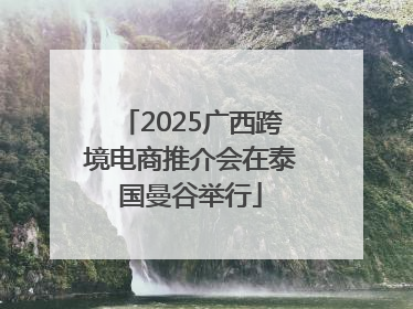 2025广西跨境电商推介会在泰国曼谷举行