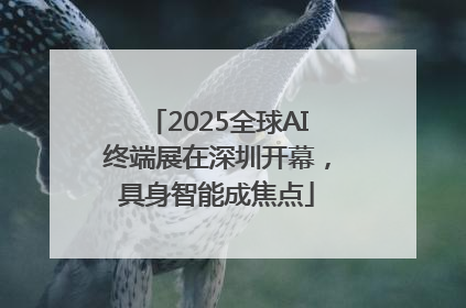 2025全球AI终端展在深圳开幕，具身智能成焦点