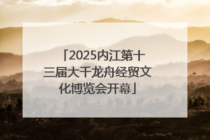 2025内江第十三届大千龙舟经贸文化博览会开幕