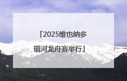 2025维也纳多瑙河龙舟赛举行