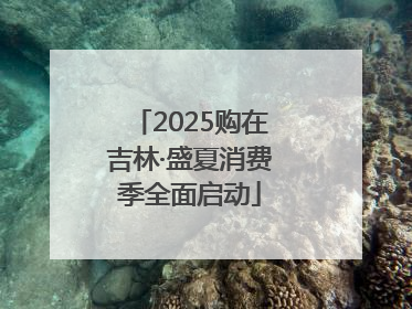 2025购在吉林·盛夏消费季全面启动