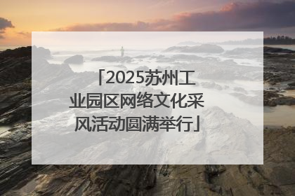 2025苏州工业园区网络文化采风活动圆满举行