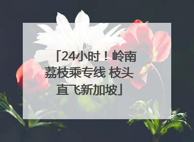 24小时！岭南荔枝乘专线 枝头直飞新加坡