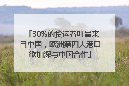 30%的货运吞吐量来自中国，欧洲第四大港口欲加深与中国合作