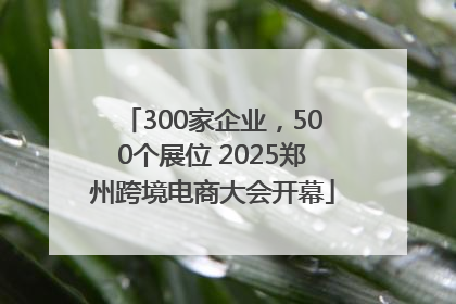 300家企业，500个展位 2025郑州跨境电商大会开幕