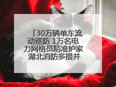 30万辆单车流动巡防 1万名电力网格员精准护家 湖北消防多措并举掀起“安全生产月”宣传热潮
