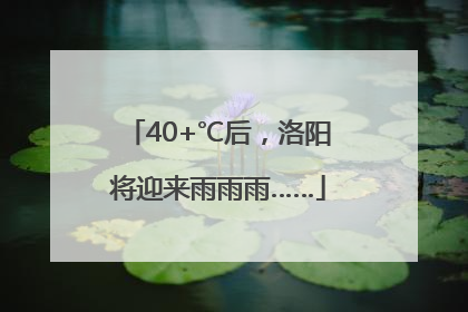 40+℃后，洛阳将迎来雨雨雨……