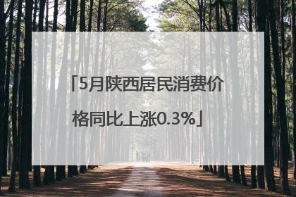 5月陕西居民消费价格同比上涨0.3%