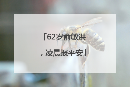 62岁俞敏洪，凌晨报平安