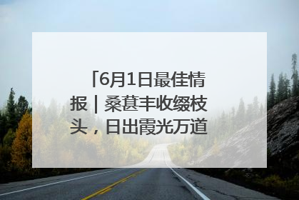 6月1日最佳情报｜桑葚丰收缀枝头，日出霞光万道蓬勃壮观！恭喜