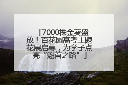 7000株金葵盛放！百花园高考主题花展启幕，为学子点亮“魁首之路”