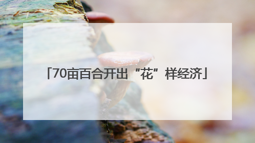 70亩百合开出“花”样经济