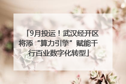 9月投运！武汉经开区将添“算力引擎”赋能千行百业数字化转型