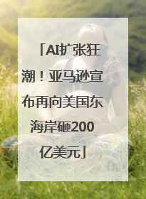 AI扩张狂潮！亚马逊宣布再向美国东海岸砸200亿美元