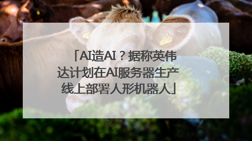 AI造AI？据称英伟达计划在AI服务器生产线上部署人形机器人