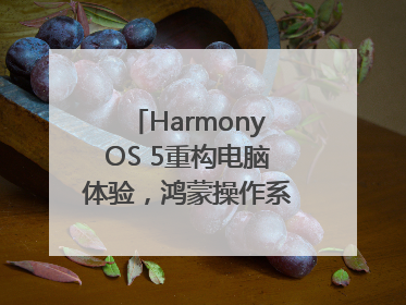 HarmonyOS 5重构电脑体验，鸿蒙操作系统在电脑端首次亮相丨新经济观察