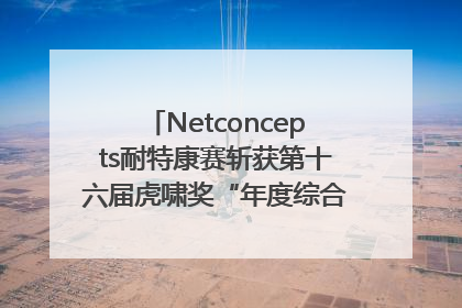 Netconcepts耐特康赛斩获第十六届虎啸奖“年度综合服务商”大奖