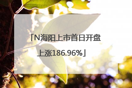 N海阳上市首日开盘上涨186.96%