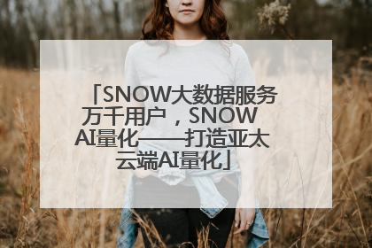 SNOW大数据服务万千用户，SNOW AI量化——打造亚太云端AI量化