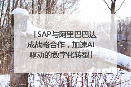 SAP与阿里巴巴达成战略合作，加速AI驱动的数字化转型